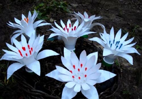 Какие материалы необходимы для создания вьющихся цветов из пластиковых бутылок. 7 способов научиться делать цветы из пластиковых бутылок своими руками