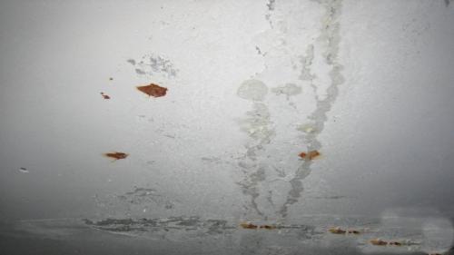 Как избежать выделения шпаклевки на потолке. Причины отслоения шпаклевки при покраске