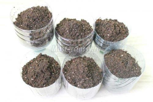 Создайте уютный сад из пластиковых бутылок 03 Создайте уютный сад из пластиковых бутылок 03