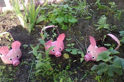 Создайте уютный сад из пластиковых бутылок 12 Создайте уютный сад из пластиковых бутылок 12