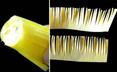 Какие составляющие можно использовать для украшения пластиковых бутылок. 7 способов научиться делать цветы из пластиковых бутылок своими руками