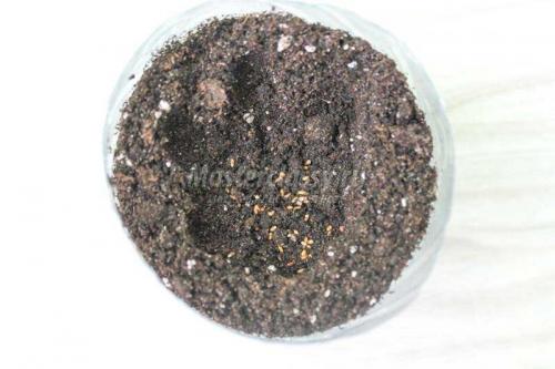 Создайте уютный сад из пластиковых бутылок 04 Создайте уютный сад из пластиковых бутылок 04