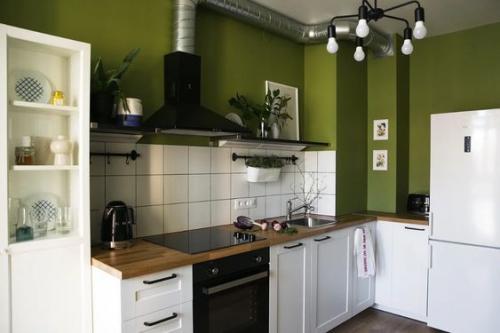 Достоинства и недостатки зеленого цвета в дизайне кухни. Характеристика зеленого цвета и его оттенки 19 Достоинства и недостатки зеленого цвета в дизайне кухни. Характеристика зеленого цвета и его оттенки 19