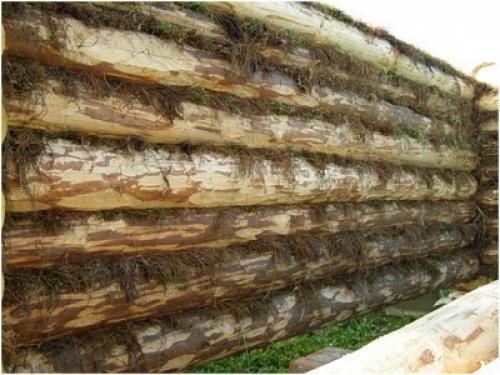 Межвенцовый утеплитель для бани. 