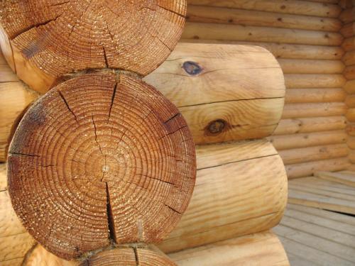 Трещины в бревнах сруба. Причины возникновения 05