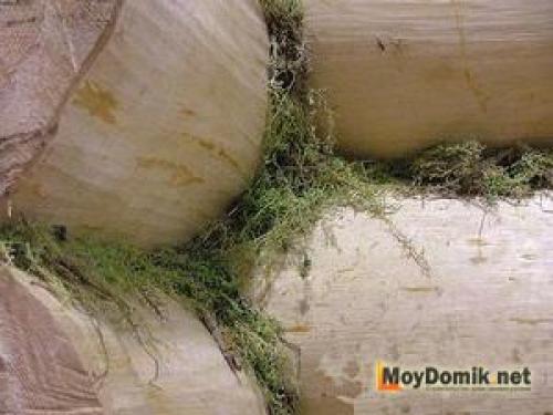 Способы устранения щелей между венцами сруба. Основные причины появления щелей между венцами 14 Способы устранения щелей между венцами сруба. Основные причины появления щелей между венцами 14
