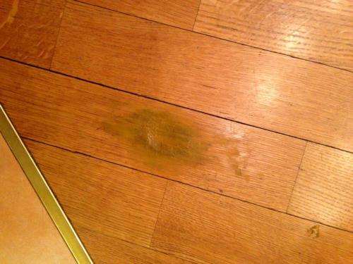 Пятна на паркете. Профилактика пятен на паркетных полах