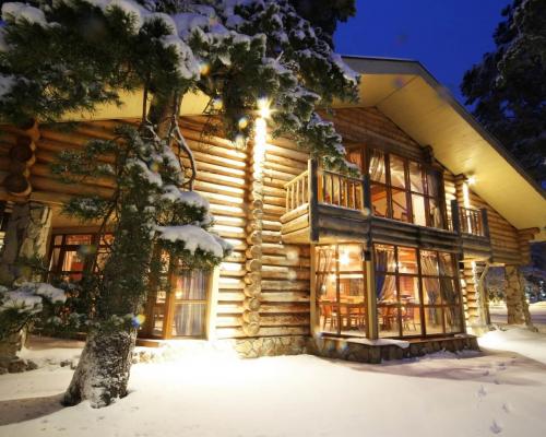 Из чего лучше строить деревянный дом. Правильный выбор материала для возведения деревянного дома