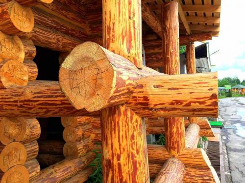 Из чего лучше строить деревянный дом. Правильный выбор материала для возведения деревянного дома