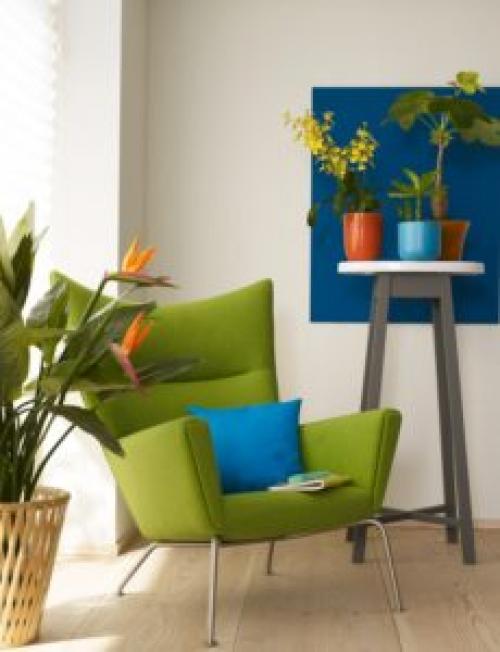 Какие растения можно использовать для создания уютной обстановки. 6 неприхотливых, но эффектных растений для домашнего уюта