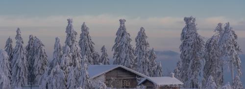 Можно ли использовать профиль бруса для строительства дома в любом климате. Можно ли жить в доме из бруса зимой?