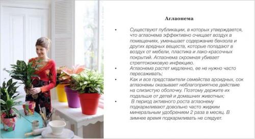 Зеленая кухня: как создать экологически чистое пространство 11 Зеленая кухня: как создать экологически чистое пространство 11