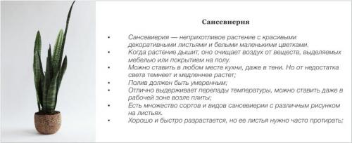 Зеленая кухня: как создать экологически чистое пространство 16 Зеленая кухня: как создать экологически чистое пространство 16