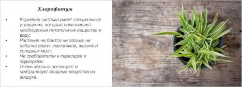 Зеленая кухня: как создать экологически чистое пространство 08 Зеленая кухня: как создать экологически чистое пространство 08