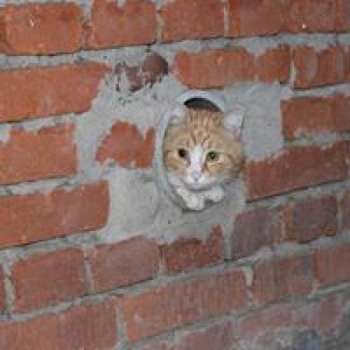 Влияет ли установка батарей под окном на уровень шума в комнате. Подписка на комментарии Комментарии (25)