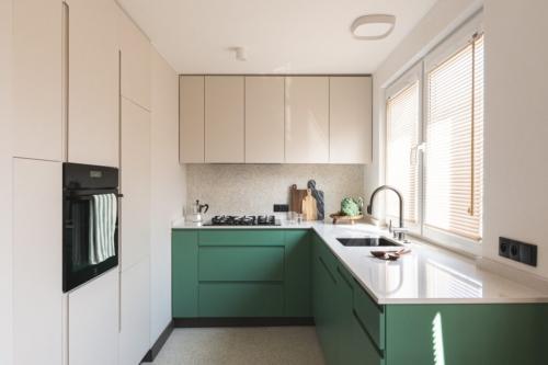 Какие элементы зеленого дизайна можно встроить в существующую кухню. Зеленая кухня — сочетание цветов и оттенков